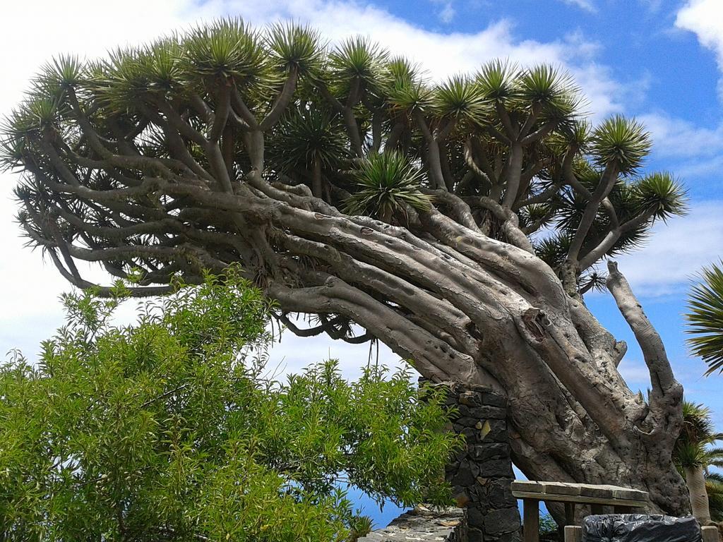 La Palmerita Vacacional Los Llanos De Aridane Zewnętrze zdjęcie