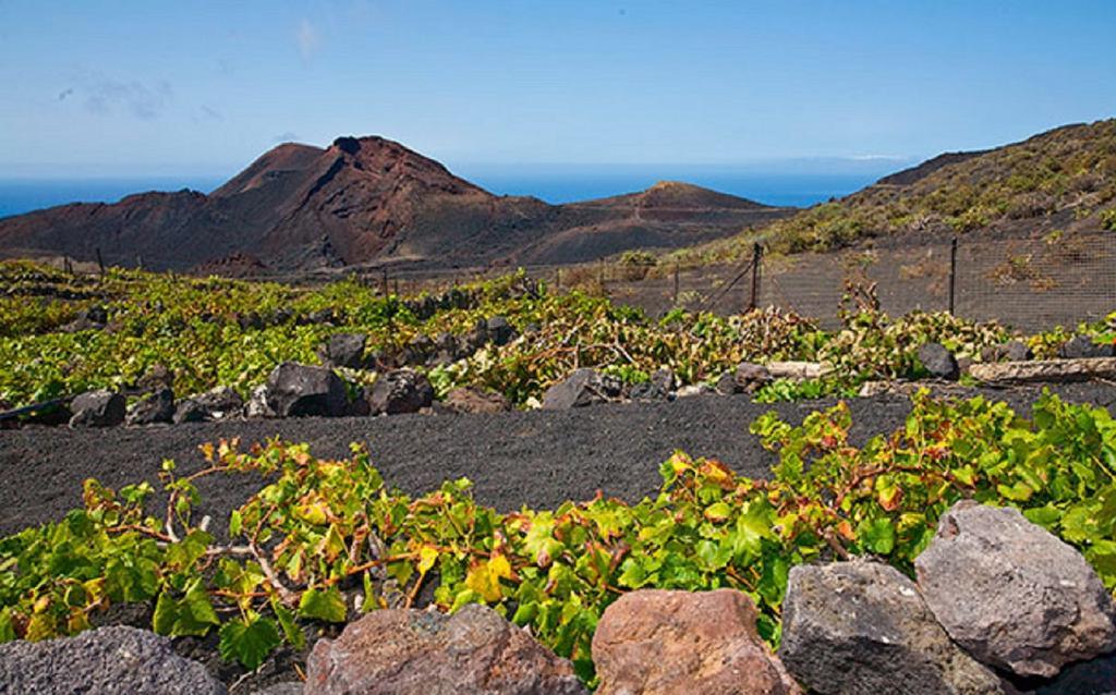 La Palmerita Vacacional Los Llanos De Aridane Zewnętrze zdjęcie